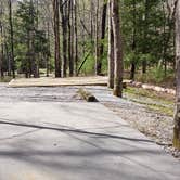 Review photo of Cades Cove Campground by Jean C., May 1, 2019