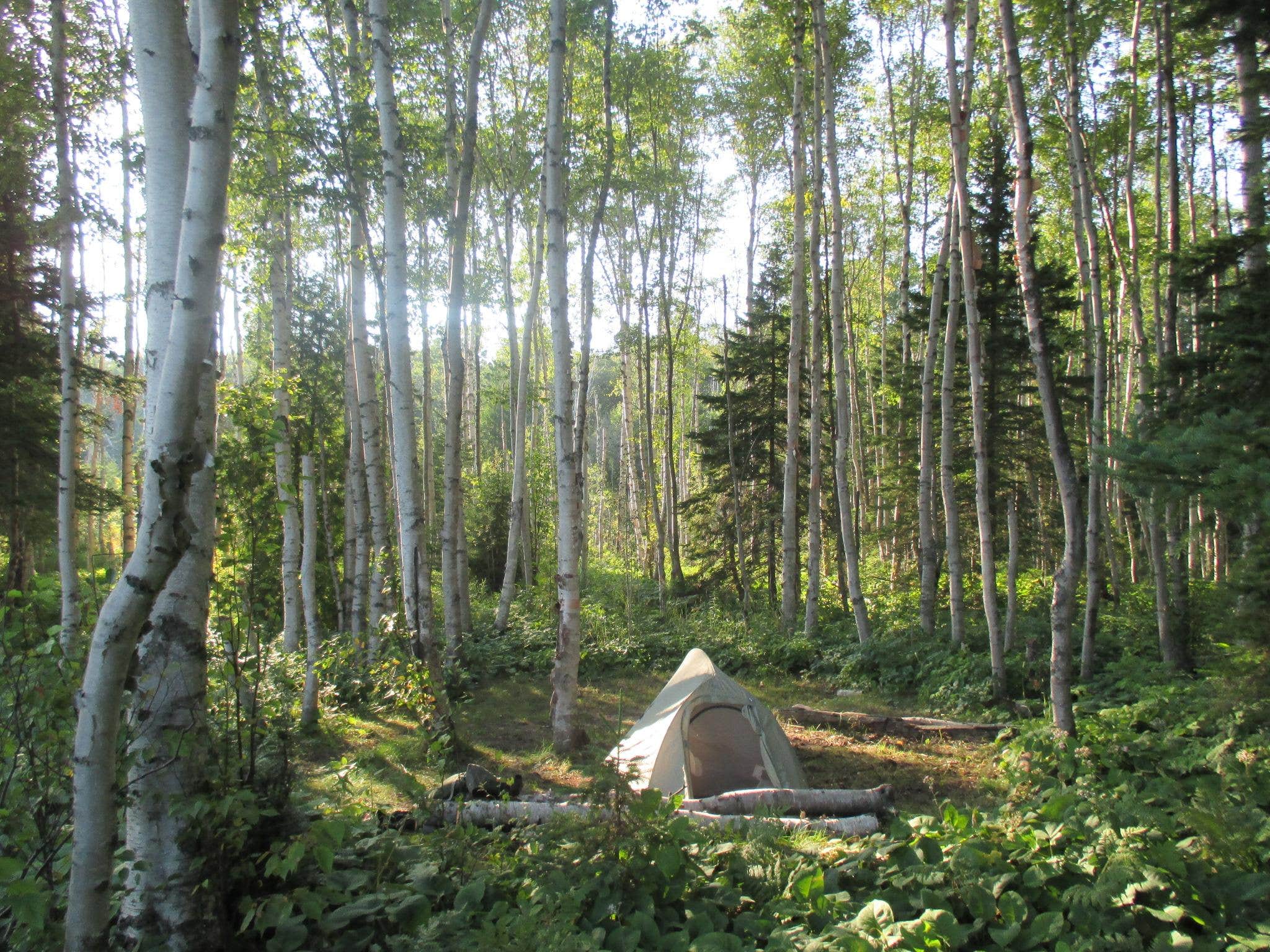 Camper submitted image from Lake Whittlesey Campground — Isle Royale National Park - 1
