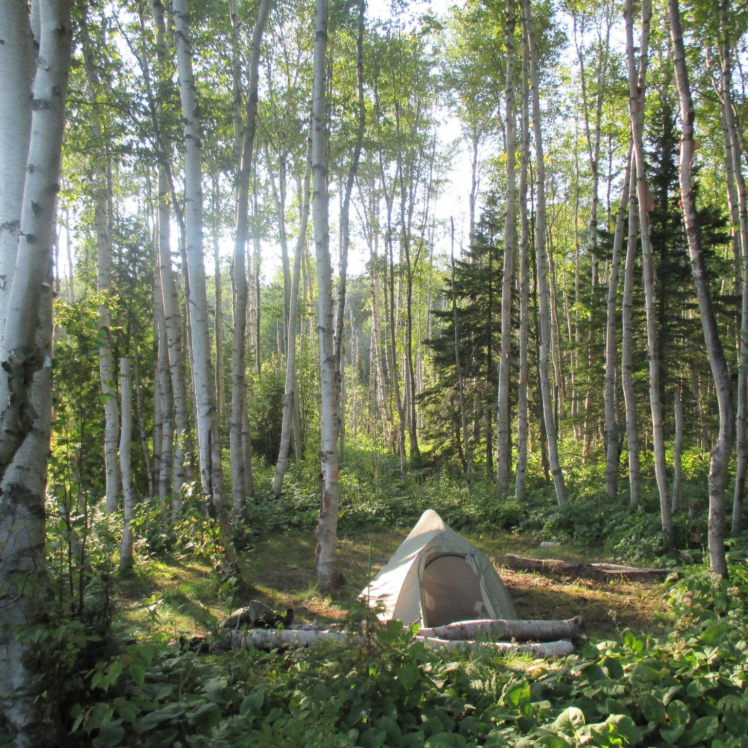 Lake Whittlesey Campground — Isle Royale National Park