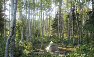 The Dyrt's photo at Lake Whittlesey Campground — Isle Royale National Park near Isle Royale National Park