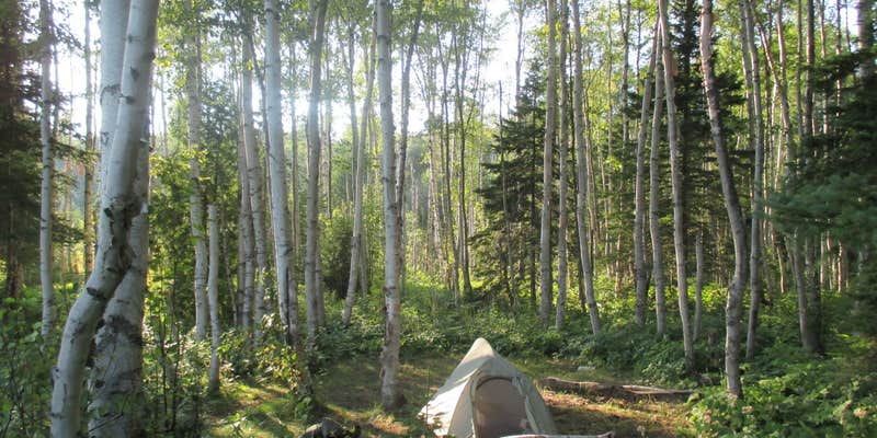 Camper submitted image from Lake Whittlesey Campground — Isle Royale National Park