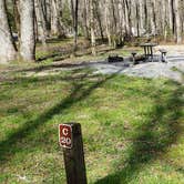 Review photo of Cades Cove Campground by Jean C., May 1, 2019