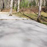 Review photo of Cades Cove Campground by Jean C., May 1, 2019
