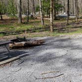 Review photo of Cades Cove Campground by Jean C., May 1, 2019