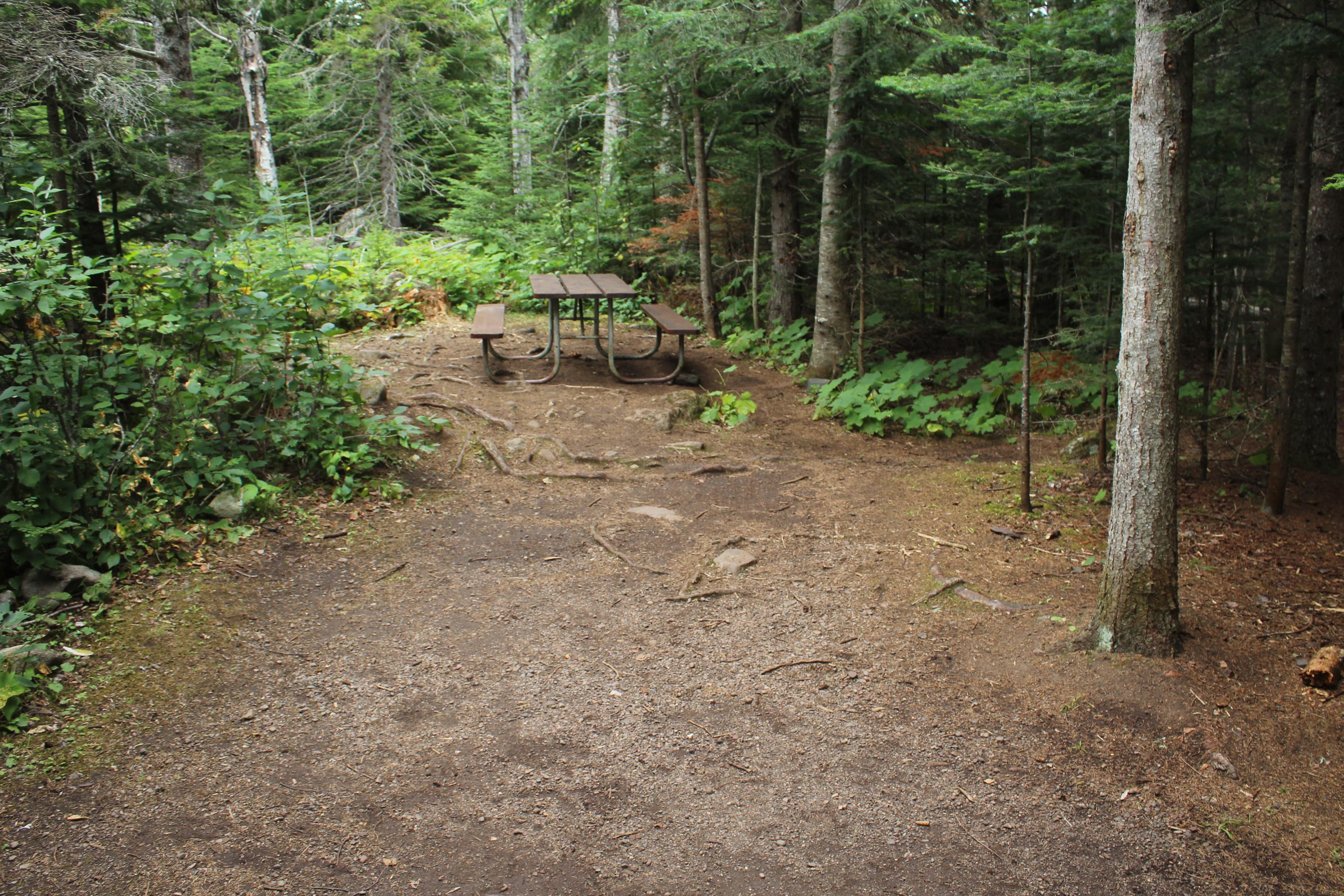 Camper submitted image from Daisy Farm Campground — Isle Royale National Park - 1