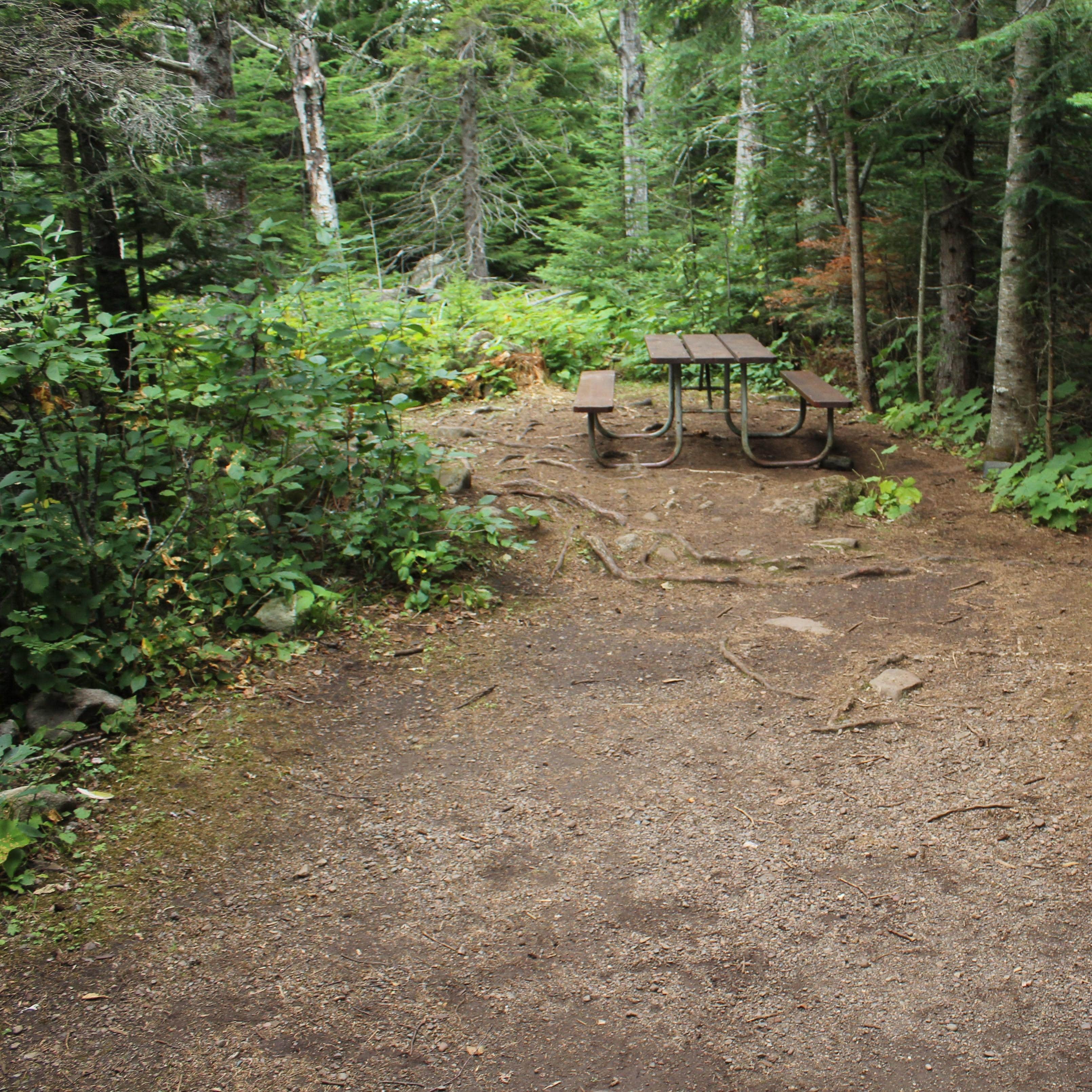 Daisy Farm Campground — Isle Royale National Park