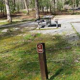 Review photo of Cades Cove Campground by Jean C., May 1, 2019
