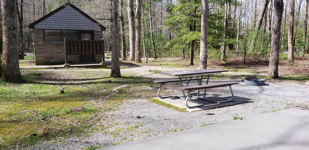 Jean C.'s photo of glamping accommodations at Cades Cove Campground near Nantahala National Forest