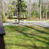 Review photo of Cades Cove Campground by Jean C., May 1, 2019
