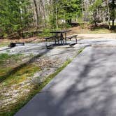 Review photo of Cades Cove Campground by Jean C., May 1, 2019