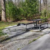 Review photo of Cades Cove Campground by Jean C., May 1, 2019