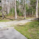 Review photo of Cades Cove Campground by Jean C., May 1, 2019