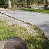 Review photo of Cades Cove Campground by Jean C., May 1, 2019