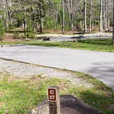 Review photo of Cades Cove Campground by Jean C., May 1, 2019