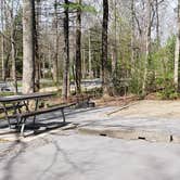 Review photo of Cades Cove Campground by Jean C., May 1, 2019