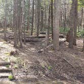 Review photo of Cades Cove Campground by Jean C., May 1, 2019