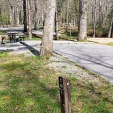 Review photo of Cades Cove Campground by Jean C., May 1, 2019