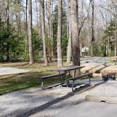 Review photo of Cades Cove Campground by Jean C., May 1, 2019