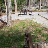 Review photo of Cades Cove Campground by Jean C., May 1, 2019