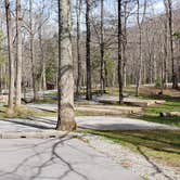 Review photo of Cades Cove Campground by Jean C., May 1, 2019