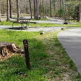 Review photo of Cades Cove Campground by Jean C., May 1, 2019