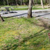 Review photo of Cades Cove Campground by Jean C., May 1, 2019