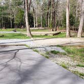 Review photo of Cades Cove Campground by Jean C., May 1, 2019