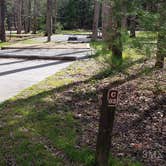 Review photo of Cades Cove Campground by Jean C., May 1, 2019
