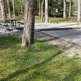 Review photo of Cades Cove Campground by Jean C., May 1, 2019