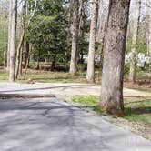 Review photo of Cades Cove Campground by Jean C., May 1, 2019