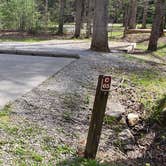 Review photo of Cades Cove Campground by Jean C., May 1, 2019