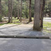 Review photo of Cades Cove Campground by Jean C., May 1, 2019