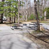 Review photo of Cades Cove Campground by Jean C., May 1, 2019