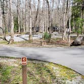 Review photo of Cades Cove Campground by Jean C., May 1, 2019