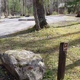 Review photo of Cades Cove Campground by Jean C., May 1, 2019