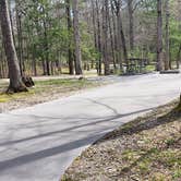 Review photo of Cades Cove Campground by Jean C., May 1, 2019