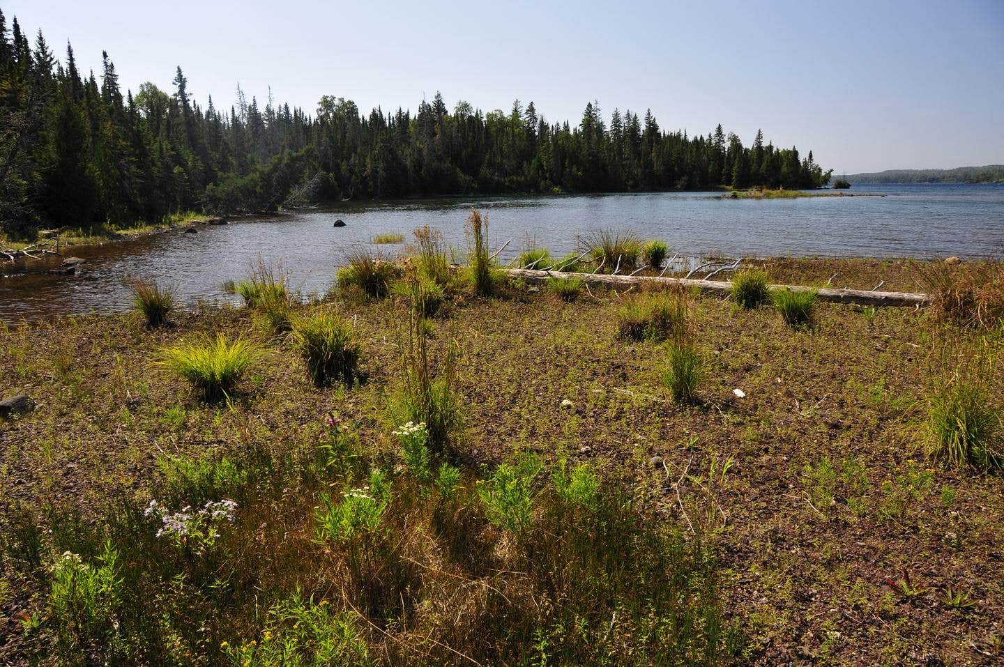 Camper-submitted photo at Caribou Island Campground — Isle Royale National Park near Eagle Harbor, MI
