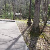 Review photo of Cades Cove Campground by Jean C., May 1, 2019