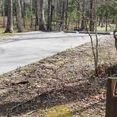 Review photo of Cades Cove Campground by Jean C., May 1, 2019