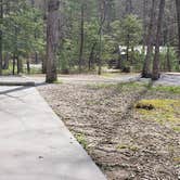 Review photo of Cades Cove Campground by Jean C., May 1, 2019