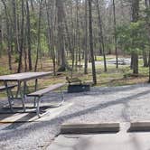 Review photo of Cades Cove Campground by Jean C., May 1, 2019