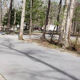 Review photo of Cades Cove Campground by Jean C., May 1, 2019