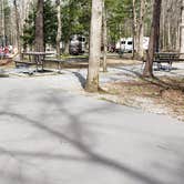 Review photo of Cades Cove Campground by Jean C., May 1, 2019