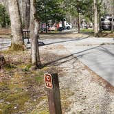Review photo of Cades Cove Campground by Jean C., May 1, 2019