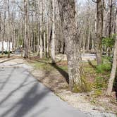 Review photo of Cades Cove Campground by Jean C., May 1, 2019