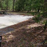Review photo of Cades Cove Campground by Jean C., May 1, 2019