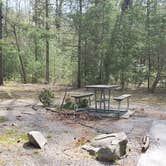 Review photo of Cades Cove Campground by Jean C., May 1, 2019