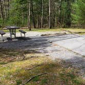 Review photo of Cades Cove Campground by Jean C., May 1, 2019