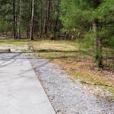 Review photo of Cades Cove Campground by Jean C., May 1, 2019