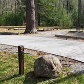 Review photo of Cades Cove Campground by Jean C., May 1, 2019